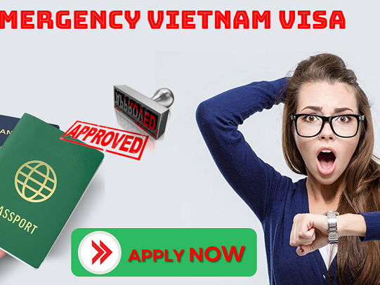 Emergency Vietnam Visa