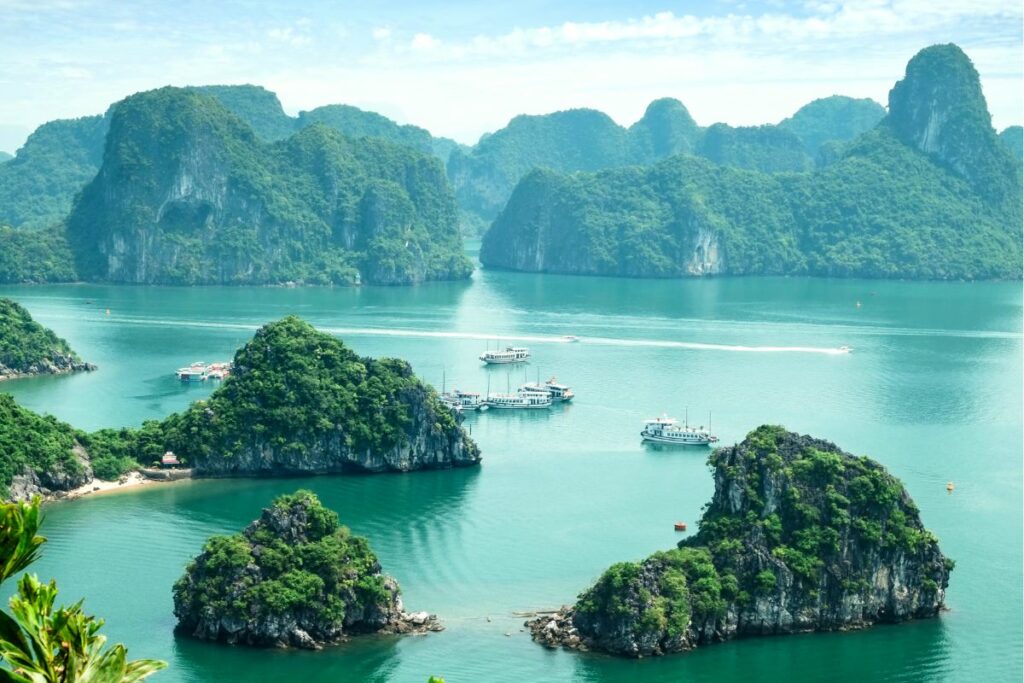 Navigating Opportunities in Southeast Asia Your Niche Guide to the Vietnam Visa for Freelancers Remote Teams
