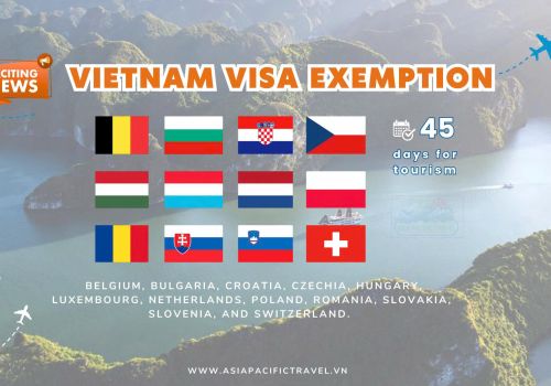Navigating the Vietnam Visa for Event & Conference Attendees – Special Categories Essential Guide for International Participants