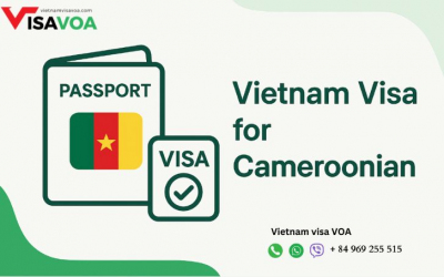 Vietnam Transit Visa – When You Actually Need It in 2025 Essential Guide for Travelers and Business Professionals