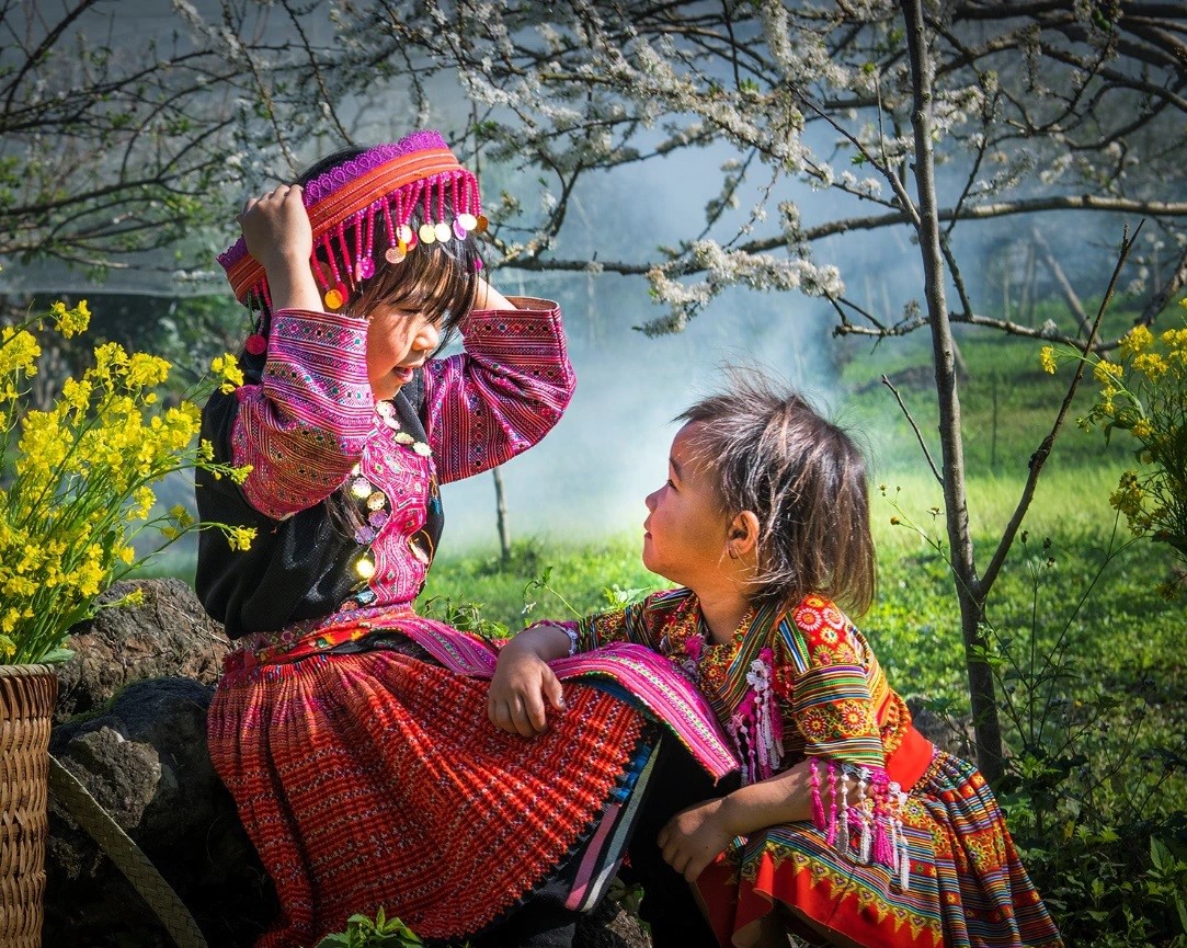 Vietnam Visa Requirements by Passport Type - Navigating the Details for Smooth Travel